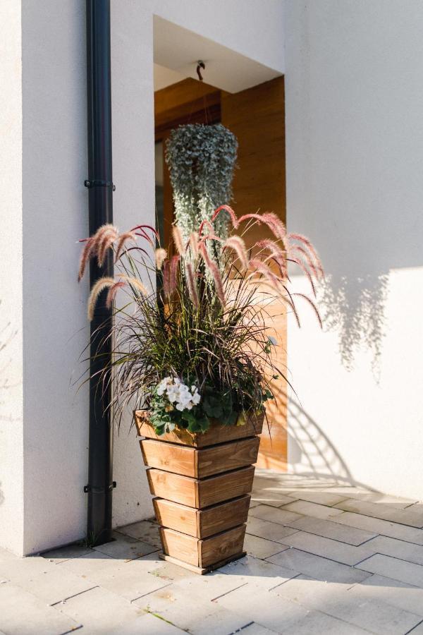 Villa Monica Apartamenty Szczyrk Εξωτερικό φωτογραφία