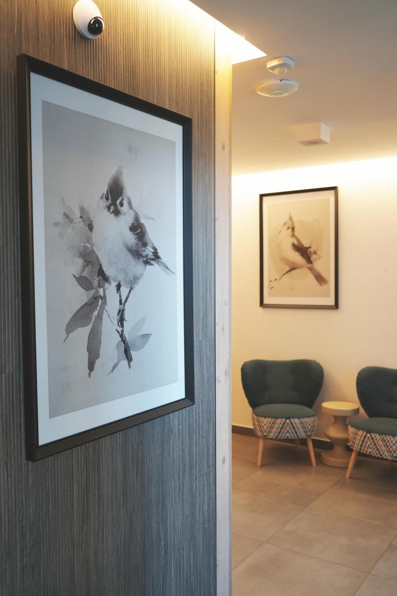Villa Monica Apartamenty Szczyrk Εξωτερικό φωτογραφία